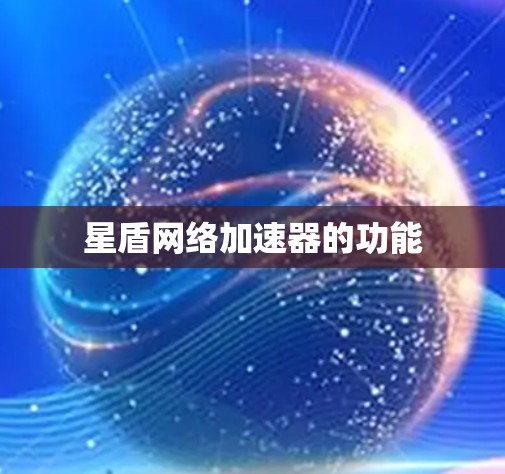 星盾网络加速器的功能 星盾网络加速器的功能