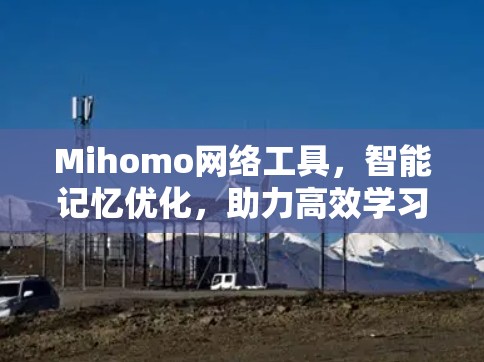 Mihomo网络工具,智能记忆优化,助力高效学习与工作 Mihomo网络工具,智能记忆优化,助力高效学习与工作