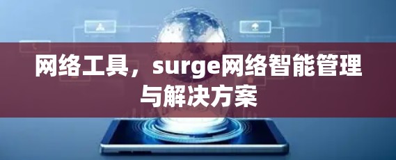 网络工具，surge网络智能管理与解决方案