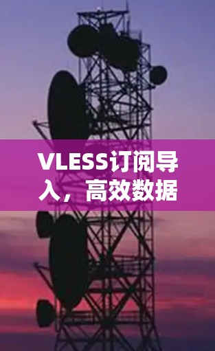 VLESS订阅导入,高效数据传输的解决方案 VLESS订阅导入,高效数据传输的解决方案