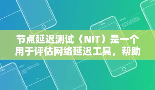 节点延迟测试（NIT）是一个用于评估网络延迟工具，帮助检测网络瓶颈并优化性能。以下是关于节点延迟测试工具的详细指南