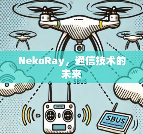 NekoRay,通信技术的未来 NekoRay,通信技术的未来