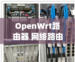 OpenWrt路由器 网络路由器配置指南 OpenWrt路由器 网络路由器配置指南