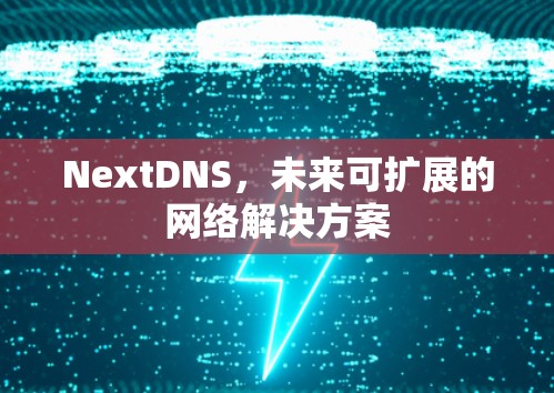 NextDNS,未来可扩展的网络解决方案 NextDNS,未来可扩展的网络解决方案