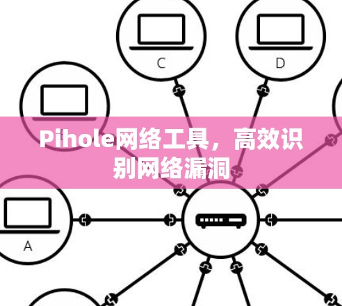 Pihole网络工具,高效识别网络漏洞 Pihole网络工具,高效识别网络漏洞