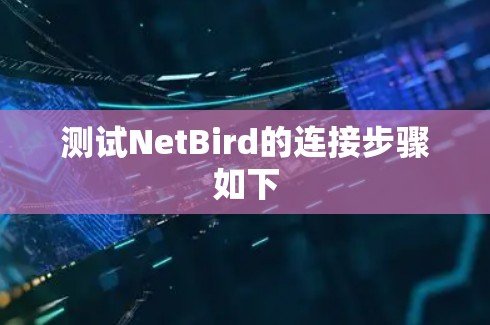 测试NetBird的连接步骤如下