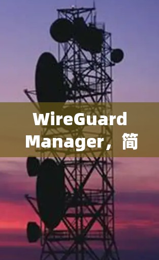 WireGuard Manager,简化网络安全管理的全新解决方案 WireGuard Manager,简化网络安全管理的全新解决方案