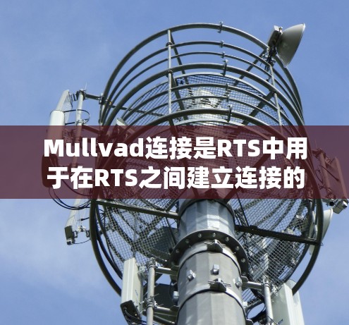 Mullvad连接是RTS中用于在RTS之间建立连接的工具,常用于构建用户界面。以下是其详细设置步骤 Mullvad连接是RTS中用于在RTS之间建立连接的工具,常用于构建用户界面。以下是其详细设置步骤