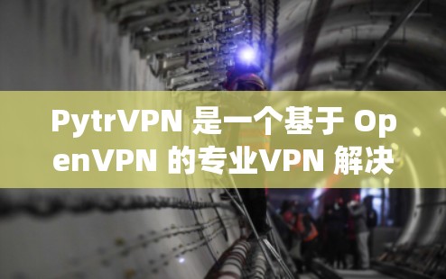 PytrVPN 是一个基于 OpenVPN 的专业VPN 解决方案,旨在提供安全、个性化的网络访问体验。以下是一个详细的配置教程,帮助你顺利配置 PytrVPN PytrVPN 是一个基于 OpenVPN 的专业VPN 解决方案,旨在提供安全、个性化的网络访问体验。以下是一个详细的配置教程,帮助你顺利配置 PytrVPN