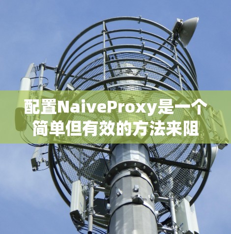 配置NaiveProxy是一个简单但有效的方法来阻止恶意请求，以下是详细的配置步骤