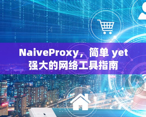NaiveProxy,简单 yet强大的网络工具指南 NaiveProxy,简单 yet强大的网络工具指南
