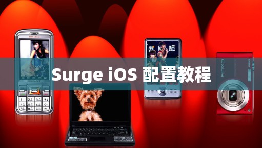 Surge iOS 配置教程 Surge iOS 配置教程