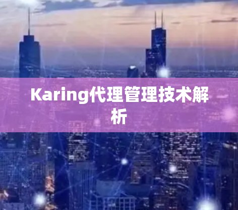 Karing代理管理技术解析