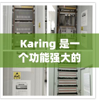 Karing 是一个功能强大的操作系统,允许用户通过命令行或终端进行操作。以下是一个全面的配置指南,涵盖从启动到优化的各个方面 Karing 是一个功能强大的操作系统,允许用户通过命令行或终端进行操作。以下是一个全面的配置指南,涵盖从启动到优化的各个方面