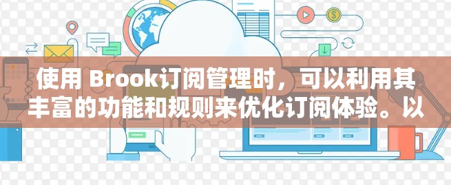 使用 Brook订阅管理时，可以利用其丰富的功能和规则来优化订阅体验。以下是详细介绍