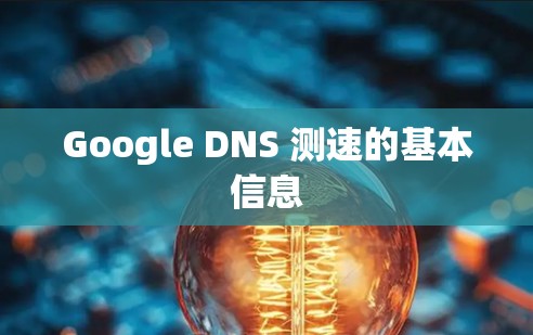 Google DNS 测速的基本信息 Google DNS 测速的基本信息