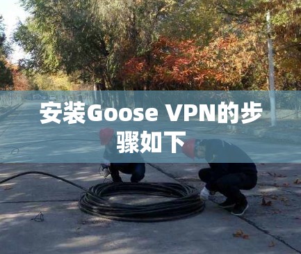 安装Goose VPN的步骤如下 安装Goose VPN的步骤如下