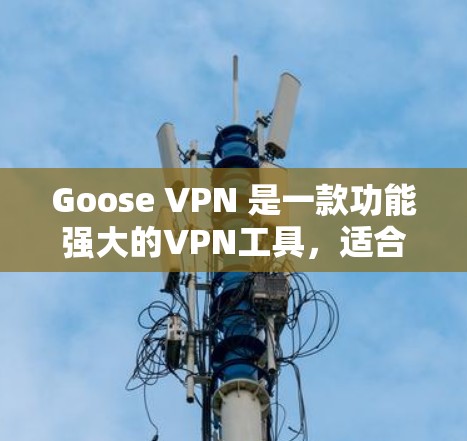 Goose VPN 是一款功能强大的VPN工具,适合个人用户、企业用户或家庭用户。下面是一个使用Goose VPN 的指南,帮助你轻松上手 Goose VPN 是一款功能强大的VPN工具,适合个人用户、企业用户或家庭用户。下面是一个使用Goose VPN 的指南,帮助你轻松上手