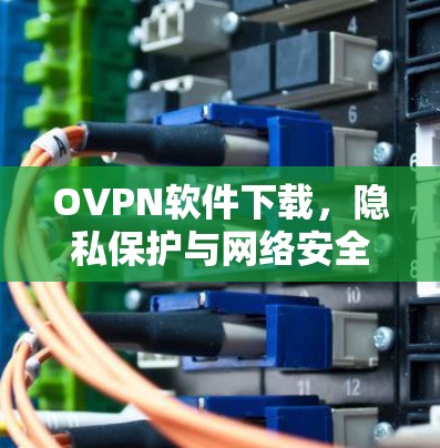 OVPN软件下载,隐私保护与网络安全的完美结合 OVPN软件下载,隐私保护与网络安全的完美结合