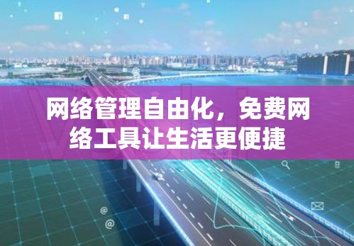 网络管理自由化,免费网络工具让生活更便捷 网络管理自由化,免费网络工具让生活更便捷