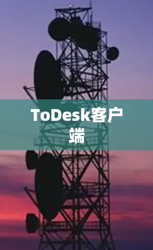 ToDesk客户端 ToDesk客户端