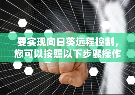 要实现向日葵远程控制，您可以按照以下步骤操作