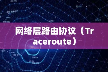 网络层路由协议(Traceroute) 网络层路由协议(Traceroute)