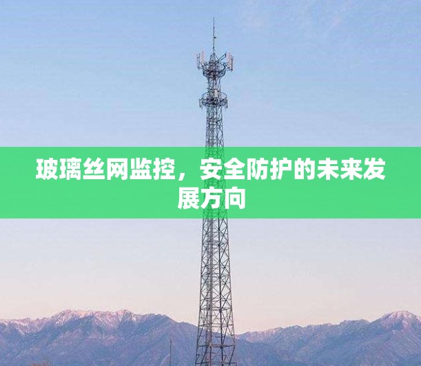 玻璃丝网监控，安全防护的未来发展方向