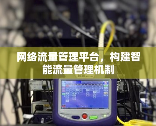 网络流量管理平台,构建智能流量管理机制 网络流量管理平台,构建智能流量管理机制