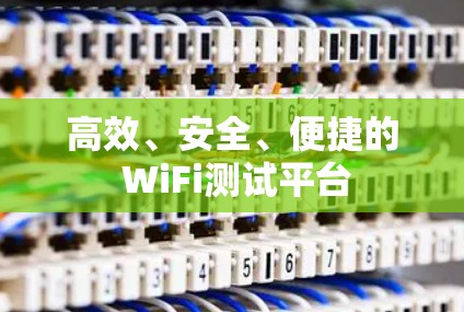 高效、安全、便捷的 WiFi测试平台 高效、安全、便捷的 WiFi测试平台