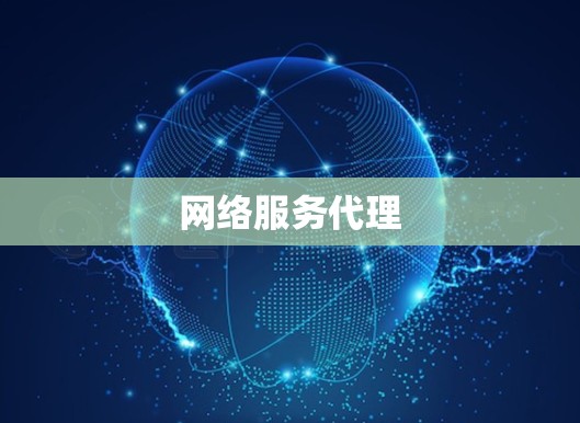 网络服务代理