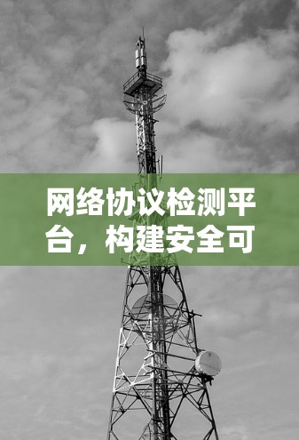 网络协议检测平台,构建安全可信网络基础设施 网络协议检测平台,构建安全可信网络基础设施