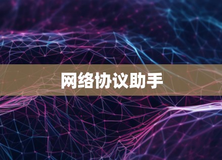 网络协议助手 网络协议助手
