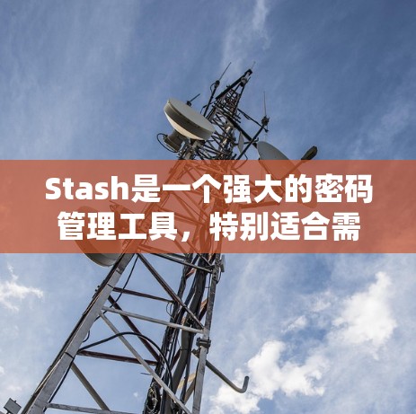 Stash是一个强大的密码管理工具，特别适合需要加密和解密文件的用户。以下是使用Stash的简要步骤和总结