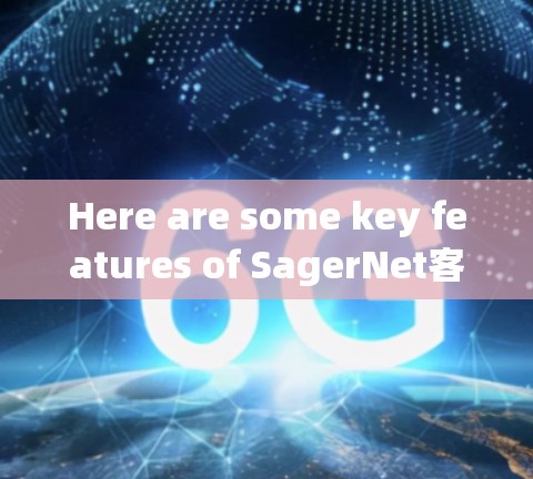 Here are some key features of SagerNet客户端: