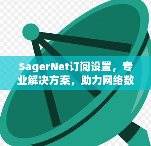 SagerNet订阅设置,专业解决方案,助力网络数字化